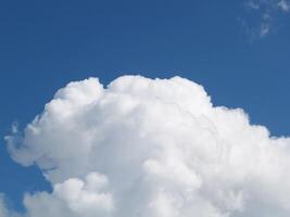 single wit cumulus wolk in blauw lucht foto