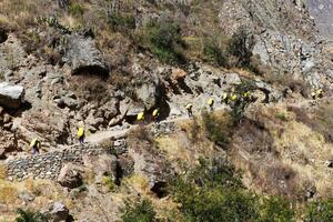 machu picchu, Peru, 2015 - lijn van dragers draag- benodigdheden voor toerist machu Picchu spoor foto