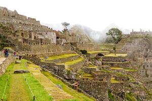 machu picchu, Peru, 2015 - toerist zwervend in de omgeving van gronden inca ruïnes zuiden Amerika foto
