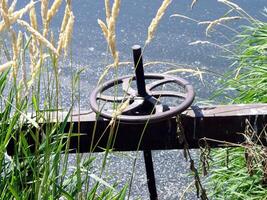 water poort draaien wiel met groen gras foto