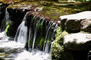 klein stroom waterval met groen mos yosemite foto