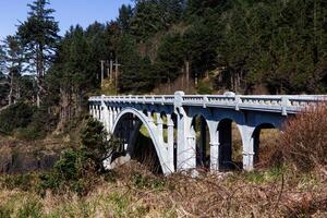 brug over- ravijn Oregon met bomen en telefoon polen foto