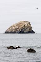 rotsen uit kust Oregon kust met bewolkt lucht en zee foto