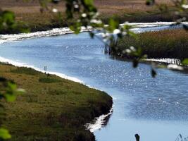 S curve waterweg door met gras begroeid nat land- sprankelend water foto