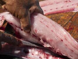 mahi mahi dorado vis Aan visser schoonmaak tafel baja Californië sur Mexico foto