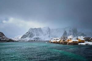 geel rorbu huizen, lofoten eilanden, Noorwegen foto