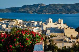 pittoreske toneel- visie van Grieks stad- plaka Aan milos eiland over- rood geranium bloemen foto