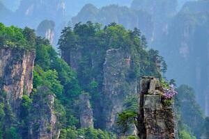 zhangjiajie bergen, China foto