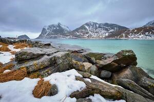 rotsachtig kust van fjord in Noorwegen foto