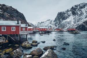 nusfjord visvangst dorp in Noorwegen foto