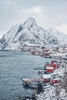 reine visvangst dorp, Noorwegen foto