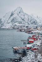 reine visvangst dorp, Noorwegen foto