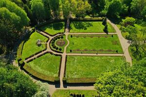 top visie van de voorjaar Minsk botanisch tuin. Wit-Rusland foto