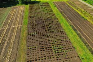 leeg verheven tuin bedden in de voorjaar periode foto