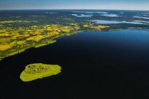 top visie van meer Drivyaty in de braslav meren nationaal park, de meest mooi meren in wit-rusland.een eiland in de meer.wit-rusland. foto