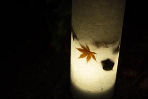 een verlichte rood bladeren in de licht Bij de traditioneel tuin Bij nacht in herfst foto