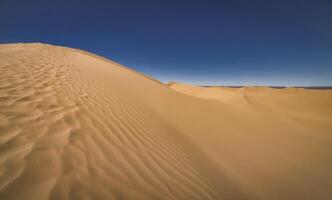 een panoramisch zand duin van Sahara woestijn Bij mhamid el gizlane in Marokko breed schot foto