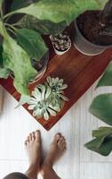 vrouw genieten van haar huis tuin foto