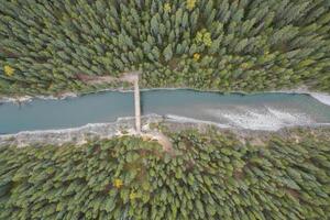 antenne visie van stewart Ravijn Bij meer Minnewanka, banff nationaal park. foto