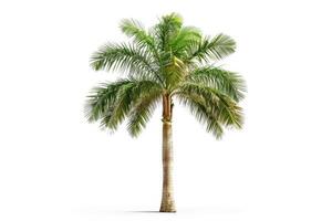 ai gegenereerd majestueus palm boom landschap geïsoleerd Aan wit achtergrond foto