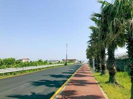 lege straat met palmbomen op het eiland jeju. zomerdag. Zuid-Korea