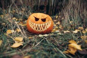 halloween jack-o-lantern met antropomorf glimlachen gezicht Aan herfst bladeren buitenshuis foto
