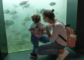 borst, Frankrijk 31 mei 2018 mam en zijn weinig dochter zijn op zoek Bij zee vis en dieren in de aquarium van de oceanopolis foto