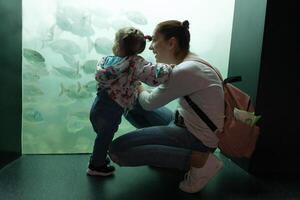 borst, Frankrijk 31 mei 2018 mam en zijn weinig dochter zijn op zoek Bij zee vis en dieren in de aquarium van de oceanopolis foto