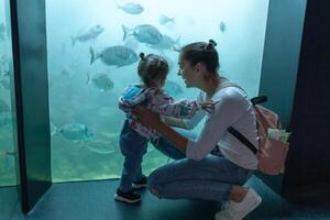 borst, Frankrijk 31 mei 2018 mam en zijn weinig dochter zijn op zoek Bij zee vis en dieren in de aquarium van de oceanopolis foto