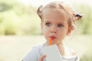 zonnig portret van een weinig kind drinken van een rietje sap op wazig zomer achtergrond foto