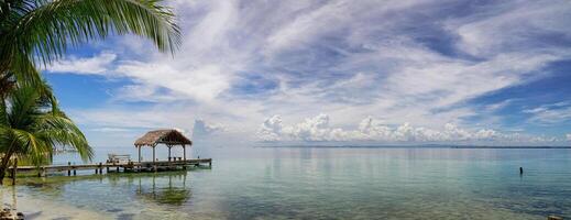 Belize cayes - klein tropisch eiland Bij barrière rif met paradijs strand - bekend voor duiken, snorkelen en ontspannende vakanties - caraïben zee, belize, centraal Amerika foto