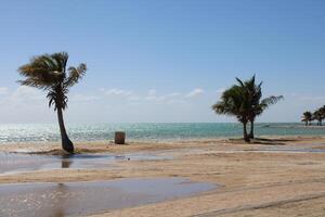 mooi dag visie van Koninklijk commissie strand in Yanbu, saudi Arabië. foto