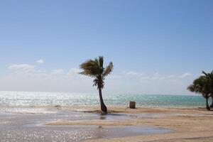 mooi dag visie van Koninklijk commissie strand in Yanbu, saudi Arabië. foto