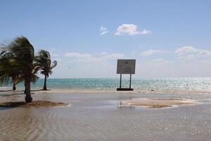 mooi dag visie van Koninklijk commissie strand in Yanbu, saudi Arabië. foto