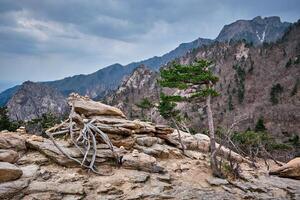 rotsen en stenen in seoraksan nationaal park, zuiden Korea foto