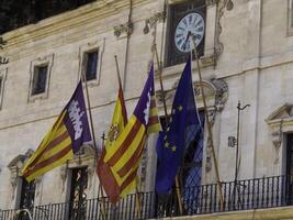 palma de maloraca foto