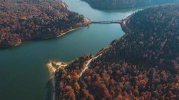 herfstkleur landschap luchtfoto foto