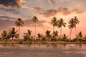 kerala binnenwateren met palmen Aan zonsondergang foto