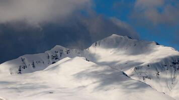 knuffels over- sneeuw bergen foto