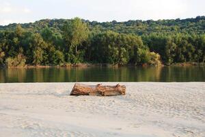 natuur Aan de Donau rivier- in vojvodina, Servië met houten log foto