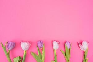 roze tulpen Aan de roze achtergrond. vlak leggen, top visie. valentijnsdag achtergrond. horizontaal,, afgezwakt foto