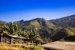 bergen en plantages in Pacora in de calda's regio van Colombia. foto