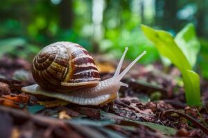 ai gegenereerd Woud slak in natuurlijk omgeving, Ondiep diepte van veld- foto