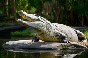 ai gegenereerd majestueus prehistorisch uitstraling gevangen genomen net zo een groot krokodil koestert zich werkeloos foto