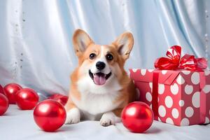 ai gegenereerd verjaardag kaart. feestelijk corgi met geschenk dozen foto