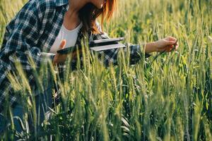 slim boerderij. boer met tablet in de veld. landbouw, tuinieren of ecologie concept. oogsten. agro bedrijf. foto