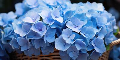 ai gegenereerd blauw hortensia's in een mand detailopname, bloemen. generatief ai foto