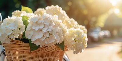 ai gegenereerd romantisch detailopname foto van wit hortensia's in een fiets mand.generatief ai