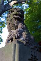 een standbeeld van voogd hond Bij Japans altaar foto