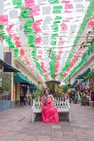 Mexicaans vrouw gezeten vervelend traditioneel jurk. straat versierd met kleuren van de Mexicaans vlag. cinco de mayo viering. foto